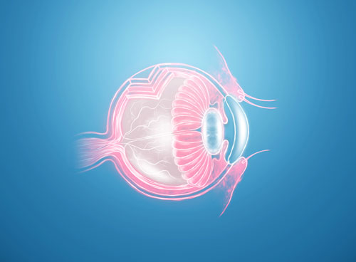 Control-de-la-salud-visual
